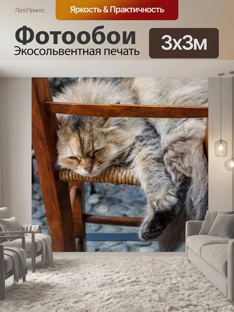Фотообои Кот