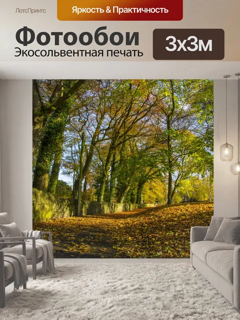 Фотообои Осень Путь