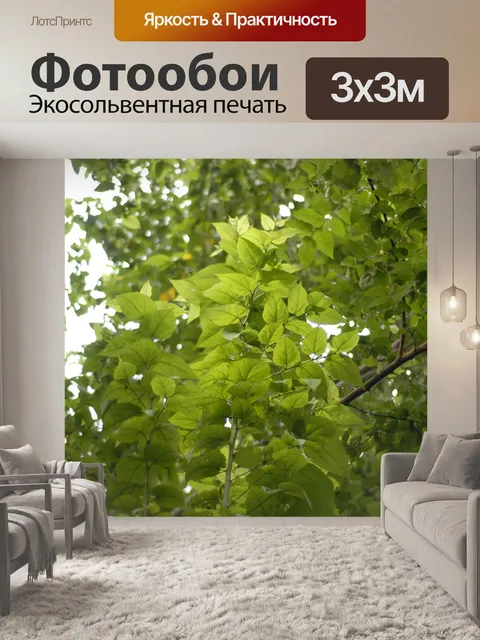 Фотообои Дерево