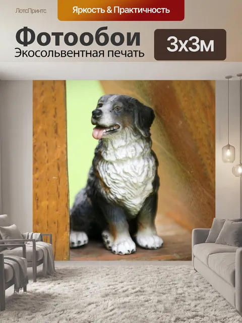 Фотообои Собака