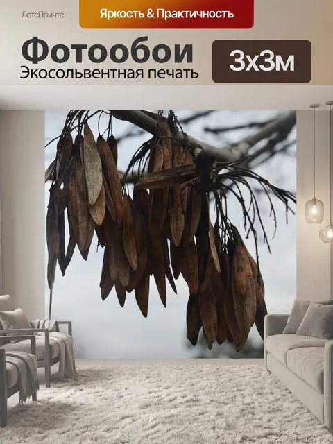 Фотообои Дерево