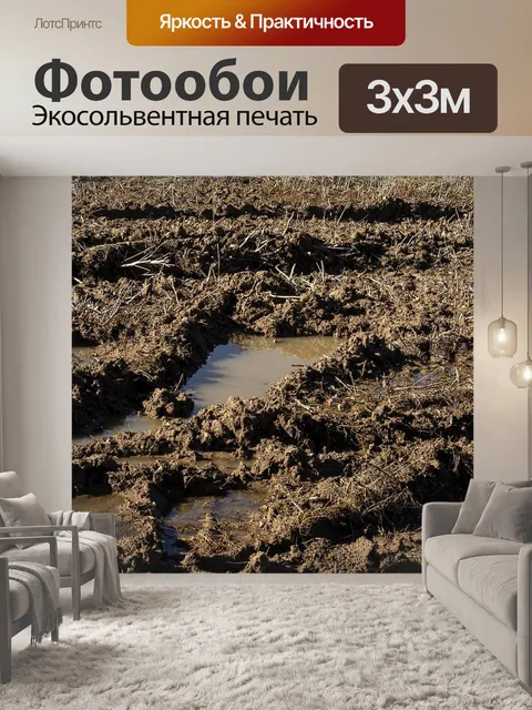 Фотообои Поля