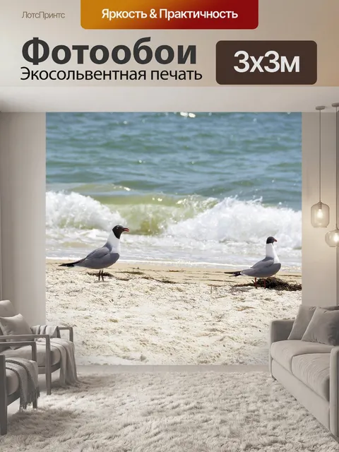 Фотообои Чайки