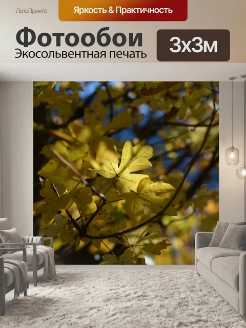 Фотообои Листья