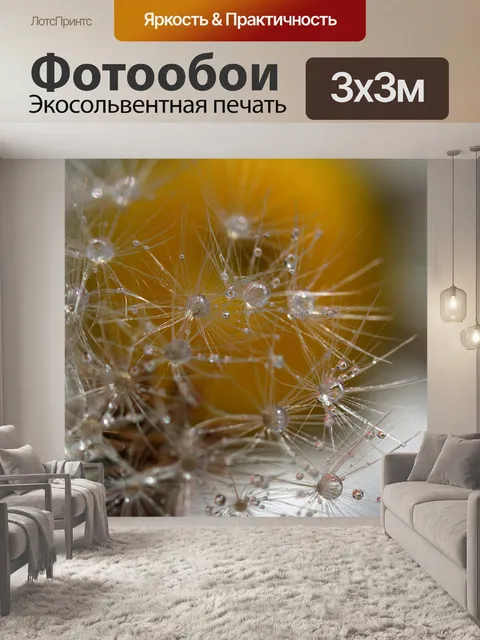 Фотообои Одуванчик