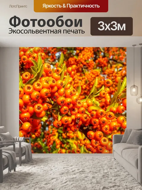 Фотообои Природа