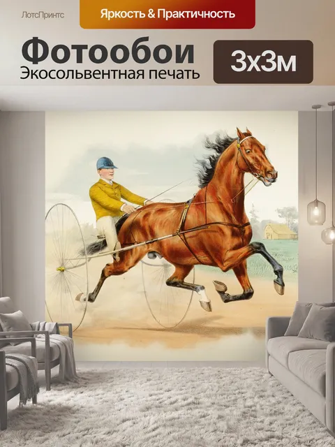 Фотообои Лошадь