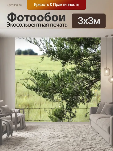 Фотообои Кедр дерево