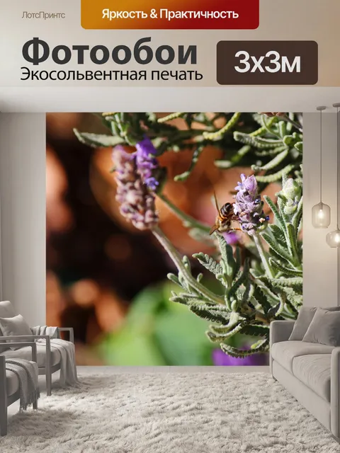 Фотообои медоносная пчела движется вокруг лаванды
