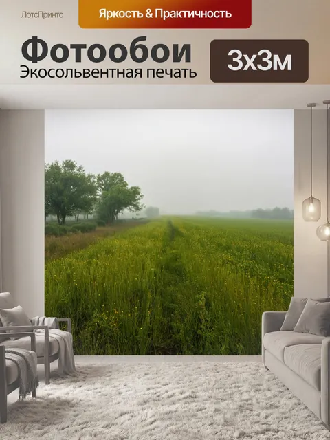 Фотообои поле, облачённое в туман, вокруг которого соленья возможностей, открывающие путь к неизведанным территориям