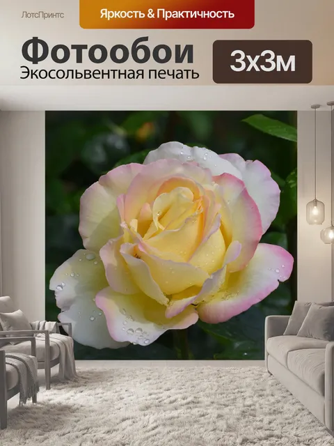 Фотообои Цветы