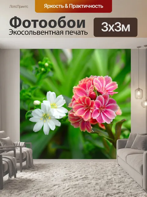 Фотообои Цветы