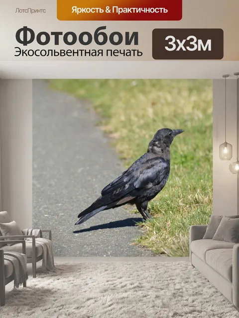 Фотообои Птица