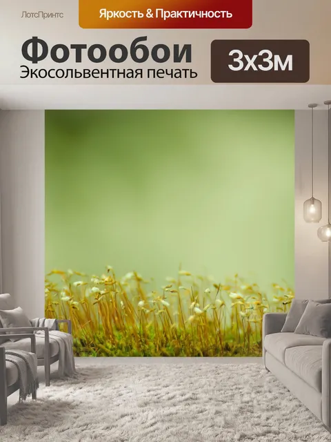 Фотообои Мох