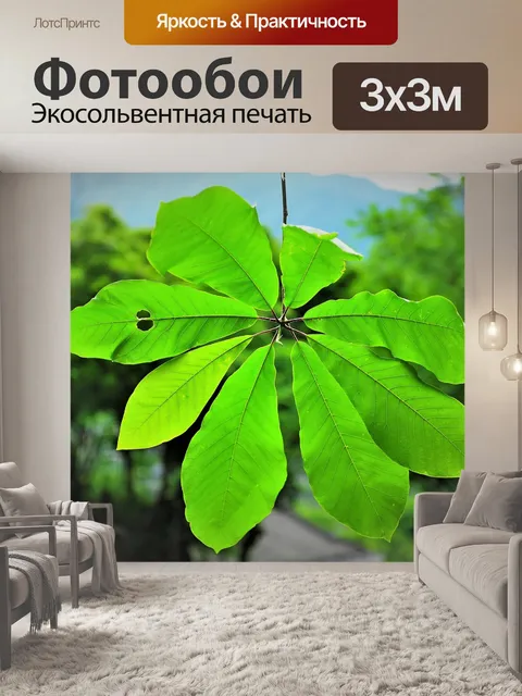 Фотообои Серебряная магнолия