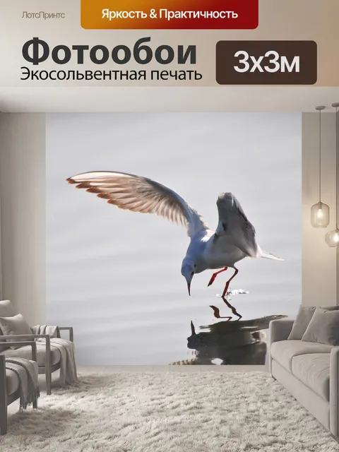 Фотообои Птица