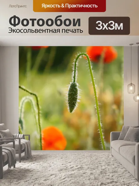 Фотообои Природа