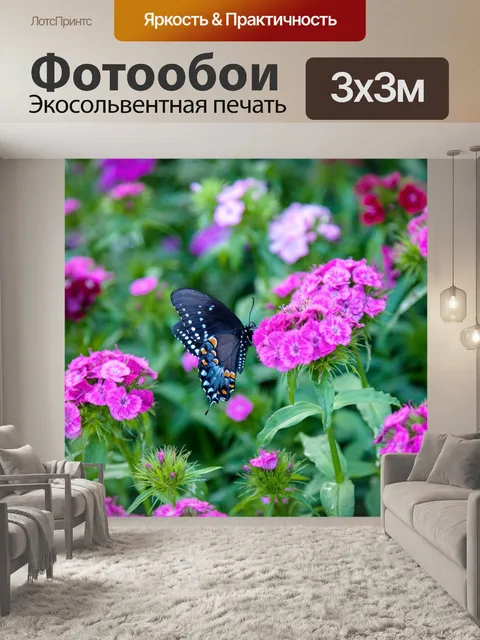 Фотообои Бабочка