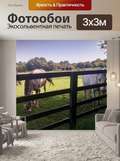 Фотообои Лошади