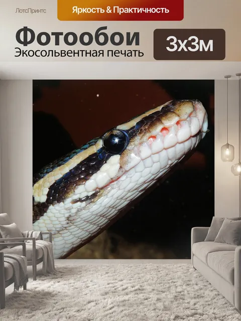Фотообои Линия