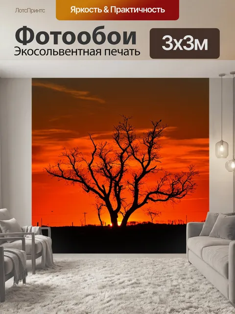 Фотообои Дерево