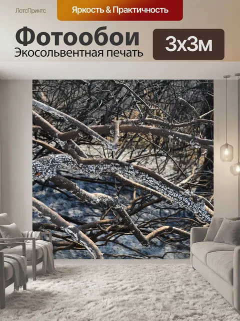 Фотообои Дерево