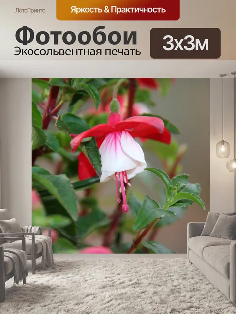 Фотообои Цветы