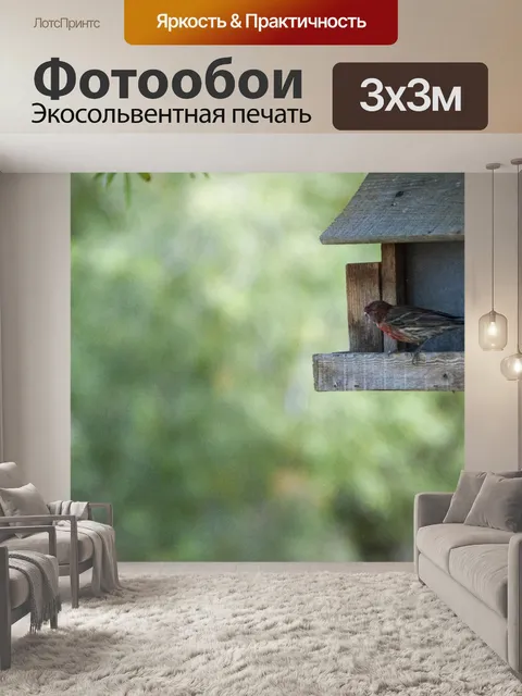 Фотообои Робин в птичьего домика