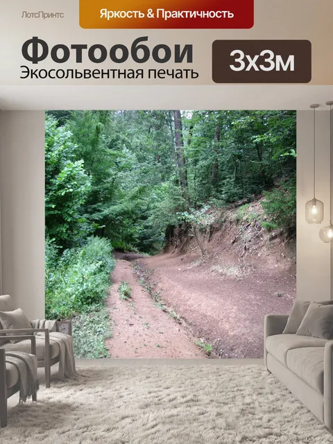 Фотообои Лесная тропинка