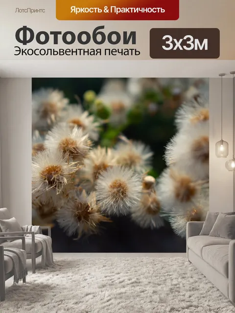 Фотообои Сухоцветы