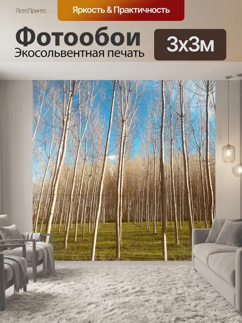 Фотообои Деревья