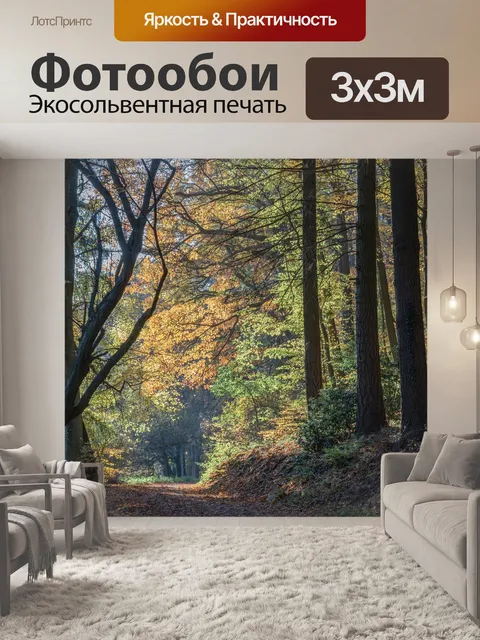 Фотообои Лес