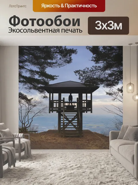 Фотообои Силуэт