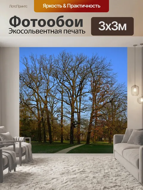 Фотообои Парк