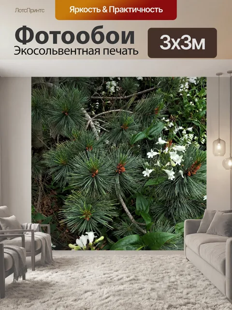 Фотообои Сосновые ветки и белые цветы