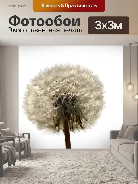 Фотообои Одуванчик