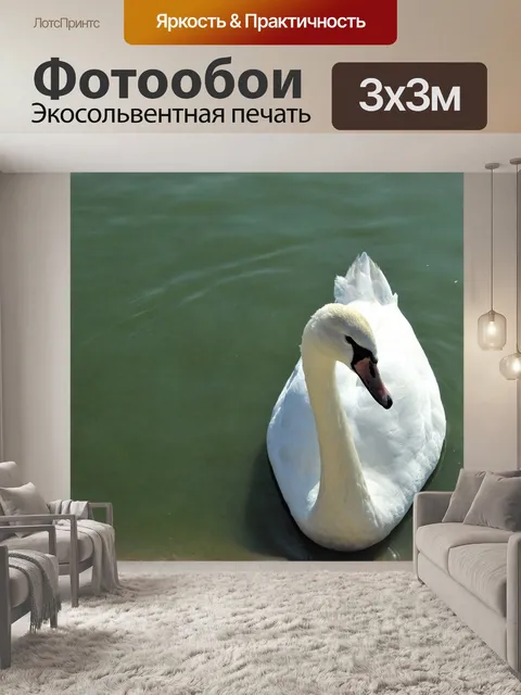 Фотообои Птица