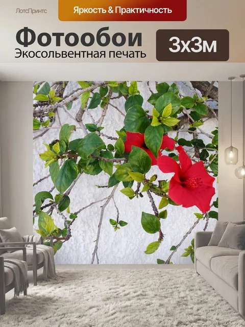 Фотообои Цветы