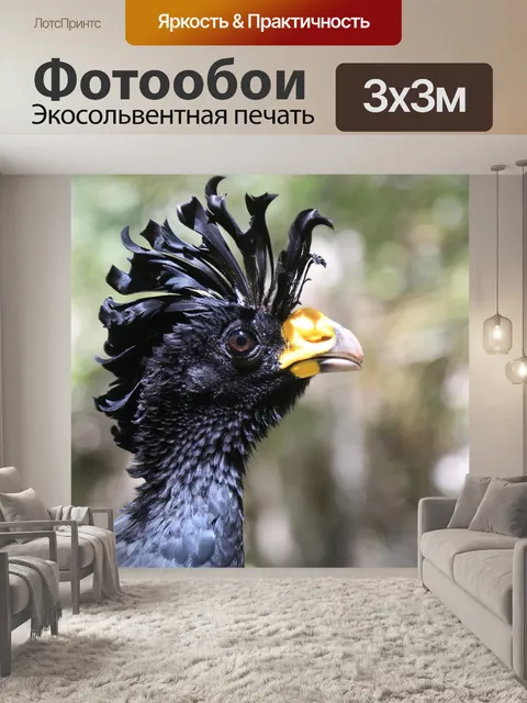 Фотообои Животное
