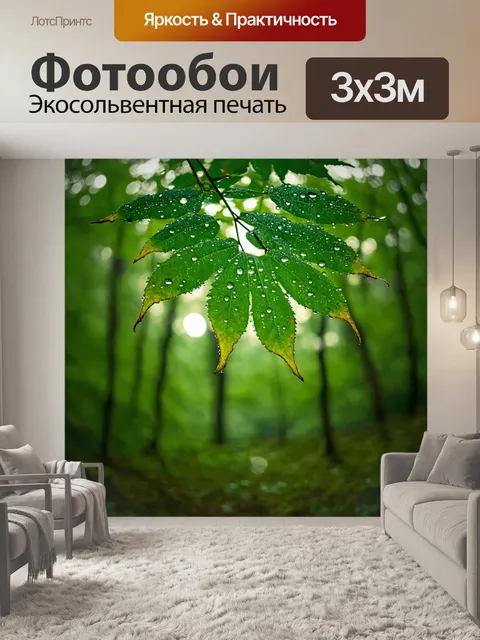 Фотообои лес с утренним роса, образующей картинки на листьях