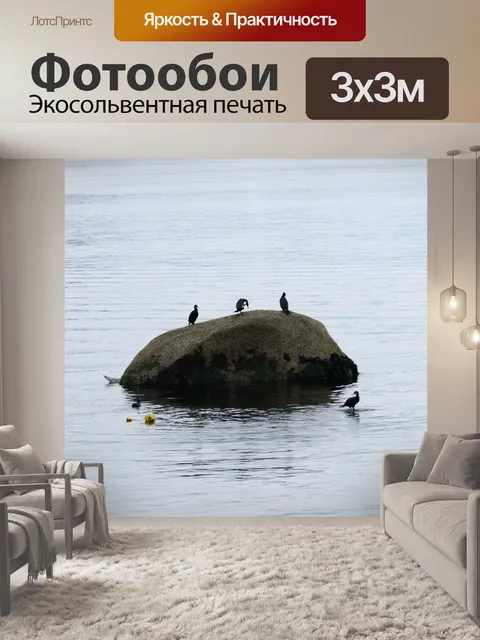 Фотообои Бакланы на скале