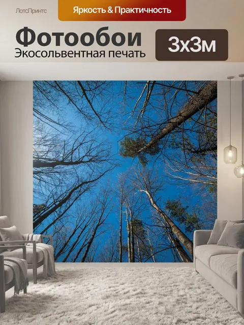 Фотообои Деревья