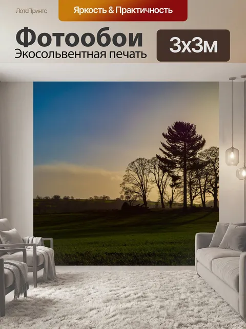 Фотообои Деревья без листьев