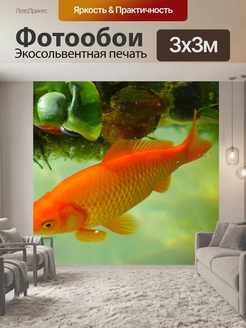Фотообои Золотая рыбка