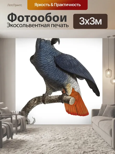 Фотообои Попугай птица старинное искусство