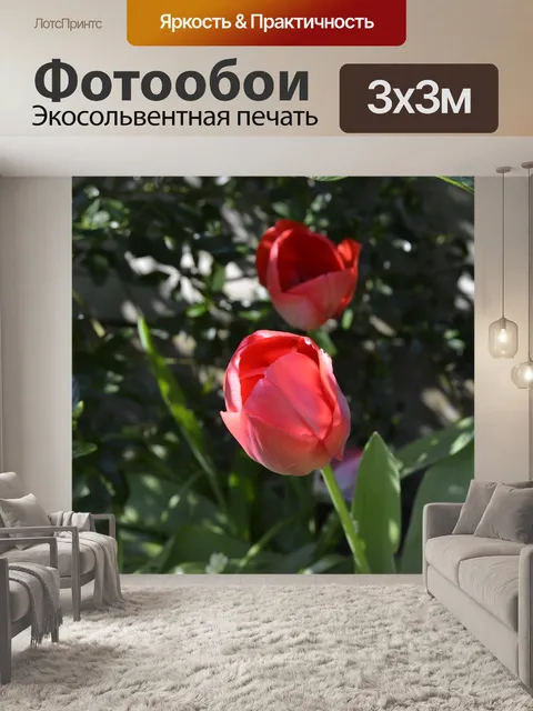 Фотообои Тюльпаны