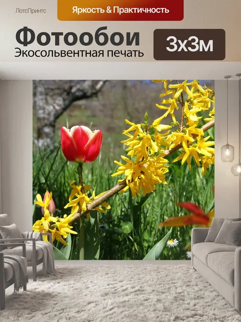 Фотообои Весна