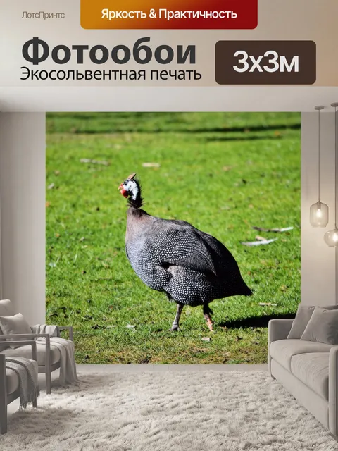 Фотообои Птицы