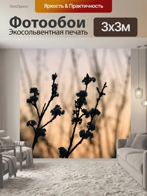 Фотообои веточки с цветками на фоне неба