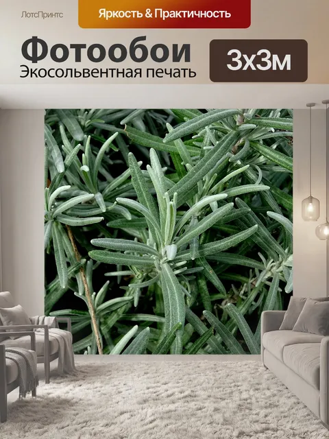 Фотообои Зеленый фон флоры
